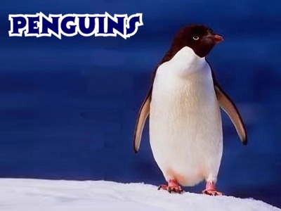 Kidzone Penguins