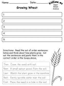 Out of order worksheet - wheat