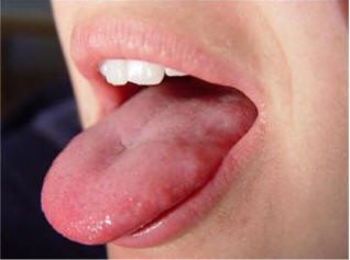 five senses